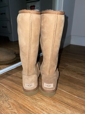 UGG Tall Chestnut Suede Knee Boots